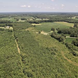 Photo #34 of SOLD property in 650 Sharp Point Road, Macclesfield, NC 9.4 acres