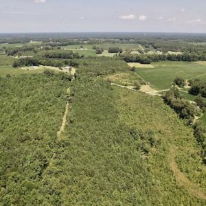 Photo #35 of SOLD property in 650 Sharp Point Road, Macclesfield, NC 9.4 acres