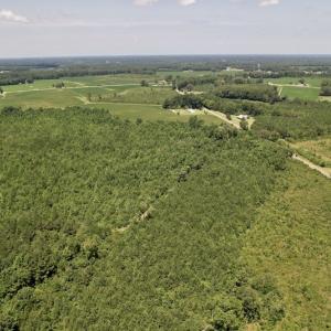 Photo #36 of SOLD property in 650 Sharp Point Road, Macclesfield, NC 9.4 acres