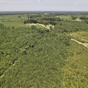 Photo #37 of SOLD property in 650 Sharp Point Road, Macclesfield, NC 9.4 acres
