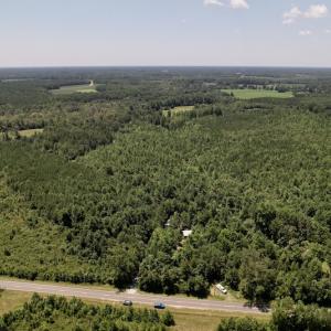 Photo #38 of SOLD property in 650 Sharp Point Road, Macclesfield, NC 9.4 acres