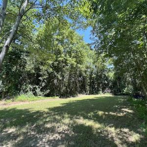 Photo #40 of SOLD property in 650 Sharp Point Road, Macclesfield, NC 9.4 acres