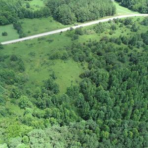 Photo #12 of Off Meredithville Drive - Lot 8, Brodnax, VA 3.5 acres