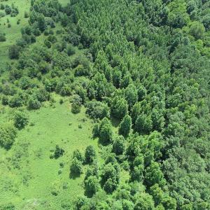 Photo #13 of Off Meredithville Drive - Lot 8, Brodnax, VA 3.5 acres