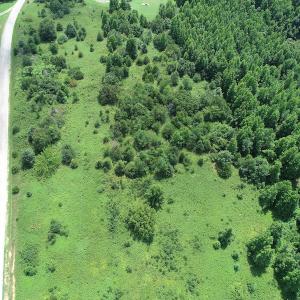 Photo #14 of Off Meredithville Drive - Lot 8, Brodnax, VA 3.5 acres