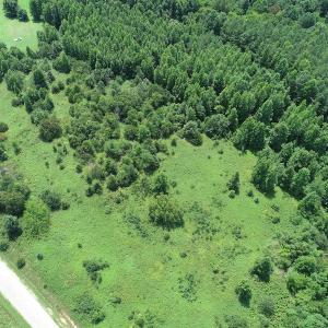 Photo #15 of Off Meredithville Drive - Lot 8, Brodnax, VA 3.5 acres