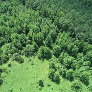 Photo #16 of Off Meredithville Drive - Lot 8, Brodnax, VA 3.5 acres