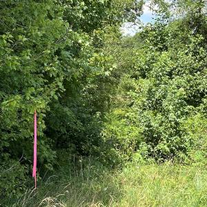 Photo #19 of Off Meredithville Drive - Lot 8, Brodnax, VA 3.5 acres