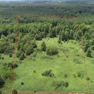 Photo #3 of Off Meredithville Drive - Lot 8, Brodnax, VA 3.5 acres