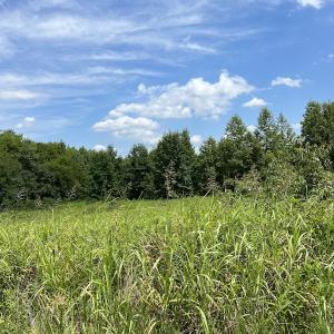 Photo #23 of Off Meredithville Drive - Lot 8, Brodnax, VA 3.5 acres