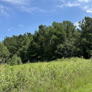 Photo #24 of Off Meredithville Drive - Lot 8, Brodnax, VA 3.5 acres