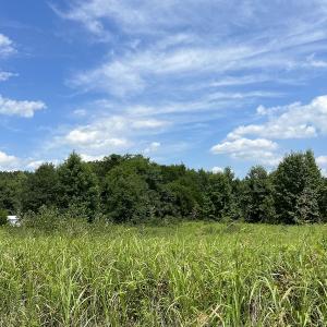 Photo #25 of Off Meredithville Drive - Lot 8, Brodnax, VA 3.5 acres