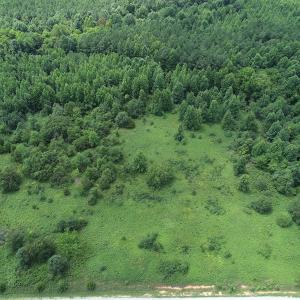 Photo #4 of Off Meredithville Drive - Lot 8, Brodnax, VA 3.5 acres