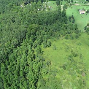 Photo #6 of Off Meredithville Drive - Lot 8, Brodnax, VA 3.5 acres