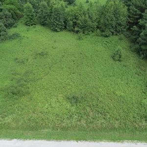 Photo #13 of Off Meredithville Drive - Lot 12, Brodnax, VA 3.6 acres