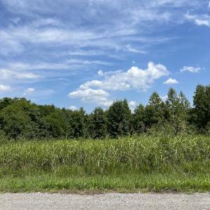 Photo #14 of Off Meredithville Drive - Lot 12, Brodnax, VA 3.6 acres