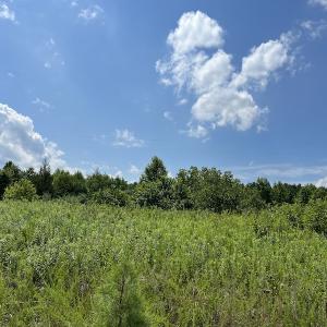 Photo #18 of Off Meredithville Drive - Lot 12, Brodnax, VA 3.6 acres