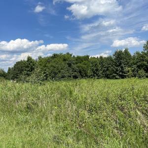 Photo #21 of Off Meredithville Drive - Lot 12, Brodnax, VA 3.6 acres