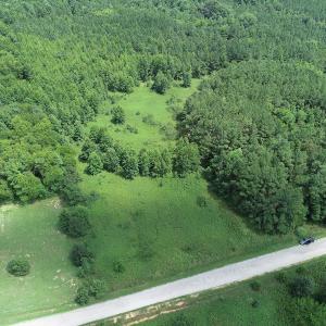 Photo #3 of Off Meredithville Drive - Lot 12, Brodnax, VA 3.6 acres