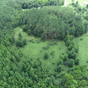 Photo #5 of Off Meredithville Drive - Lot 12, Brodnax, VA 3.6 acres