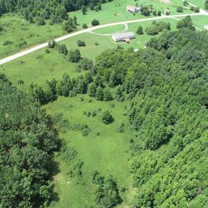 Photo #7 of Off Meredithville Drive - Lot 12, Brodnax, VA 3.6 acres