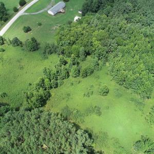 Photo #8 of Off Meredithville Drive - Lot 12, Brodnax, VA 3.6 acres