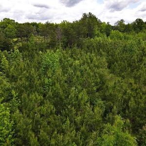 Photo #23 of SOLD property in Off Hillbilly Trail, Nathalie, VA 44.9 acres