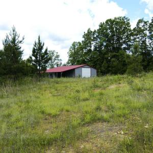 Photo #3 of SOLD property in Off Hillbilly Trail, Nathalie, VA 44.9 acres