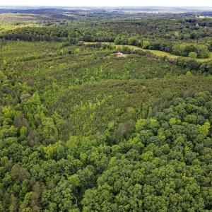 Photo #25 of SOLD property in Off Hillbilly Trail, Nathalie, VA 44.9 acres