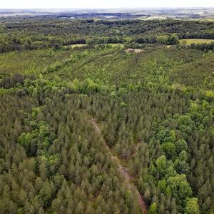 Photo #26 of SOLD property in Off Hillbilly Trail, Nathalie, VA 44.9 acres