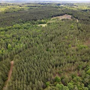 Photo #27 of SOLD property in Off Hillbilly Trail, Nathalie, VA 44.9 acres