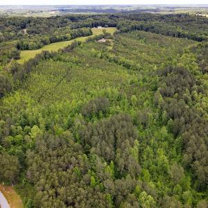 Photo #28 of SOLD property in Off Hillbilly Trail, Nathalie, VA 44.9 acres