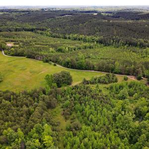 Photo #29 of SOLD property in Off Hillbilly Trail, Nathalie, VA 44.9 acres