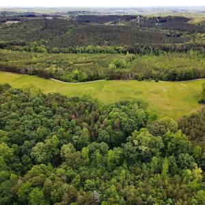 Photo #30 of SOLD property in Off Hillbilly Trail, Nathalie, VA 44.9 acres