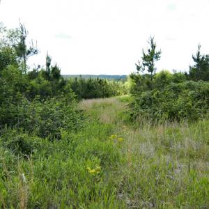 Photo #33 of SOLD property in Off Hillbilly Trail, Nathalie, VA 44.9 acres