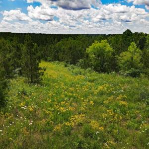 Photo #35 of SOLD property in Off Hillbilly Trail, Nathalie, VA 44.9 acres