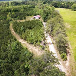 Photo #39 of SOLD property in Off Hillbilly Trail, Nathalie, VA 44.9 acres