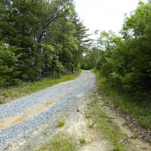 Photo #40 of SOLD property in Off Hillbilly Trail, Nathalie, VA 44.9 acres