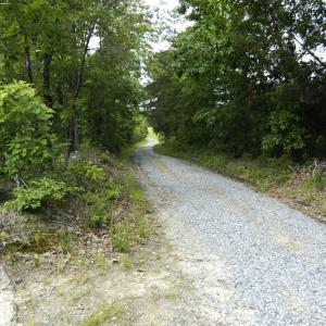 Photo #41 of SOLD property in Off Hillbilly Trail, Nathalie, VA 44.9 acres