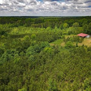 Photo #10 of SOLD property in Off Hillbilly Trail, Nathalie, VA 44.9 acres