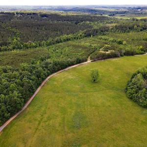 Photo #46 of SOLD property in Off Hillbilly Trail, Nathalie, VA 44.9 acres