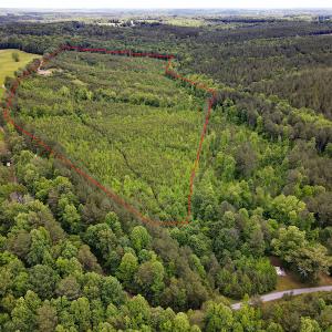 Photo #48 of SOLD property in Off Hillbilly Trail, Nathalie, VA 44.9 acres