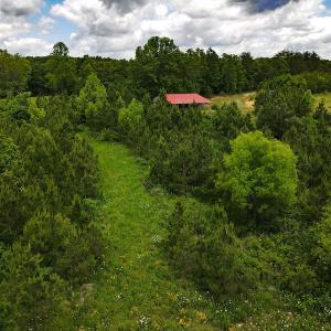 Photo #9 of SOLD property in Off Hillbilly Trail, Nathalie, VA 44.9 acres
