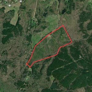 Photo #1 of SOLD property in Off Hillbilly Trail, Nathalie, VA 44.9 acres