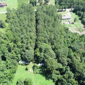 Photo #6 of Off Loco School Road, Stony Creek, VA 3.1 acres