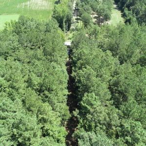 Photo #9 of Off Loco School Road, Stony Creek, VA 3.1 acres