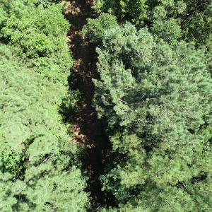 Photo #10 of Off Loco School Road, Stony Creek, VA 3.1 acres