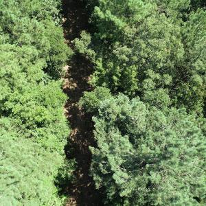 Photo #11 of Off Loco School Road, Stony Creek, VA 3.1 acres