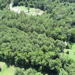 Photo #12 of Off Loco School Road, Stony Creek, VA 3.1 acres