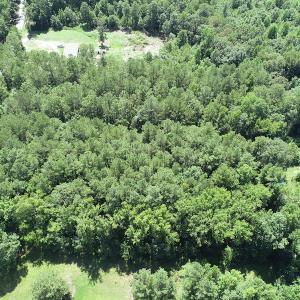 Photo #14 of Off Loco School Road, Stony Creek, VA 3.1 acres